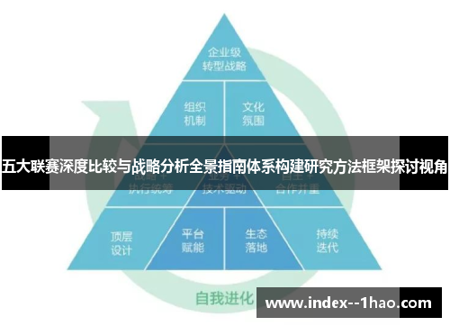 五大联赛深度比较与战略分析全景指南体系构建研究方法框架探讨视角