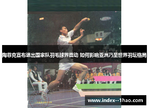 陶菲克宣布退出国家队羽毛球界震动 如何影响亚洲乃至世界羽坛格局 陶菲克宣布退出国家队羽毛球界震动 如何影响亚洲乃至世界羽坛格局