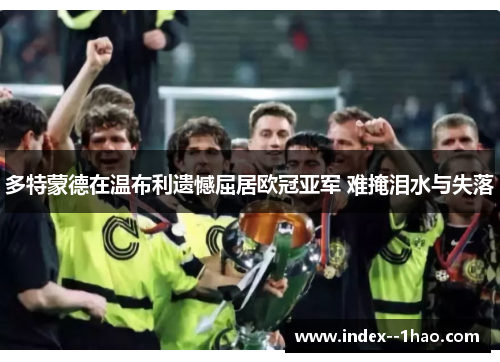 多特蒙德在温布利遗憾屈居欧冠亚军 难掩泪水与失落 多特蒙德在温布利遗憾屈居欧冠亚军 难掩泪水与失落